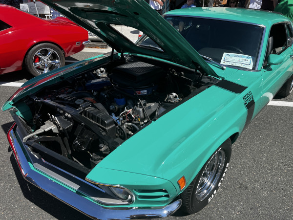 Hot Car - IMG_3105.jpg