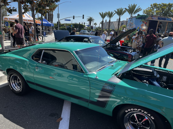 Hot Car - IMG_3106.jpg