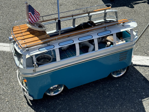Hot Car - IMG_1607.jpg