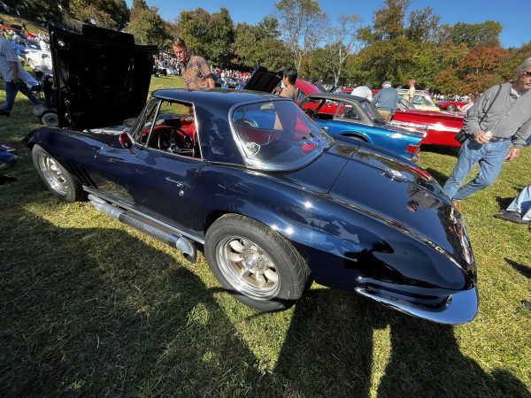 Hot Car - IMG_3711.jpg