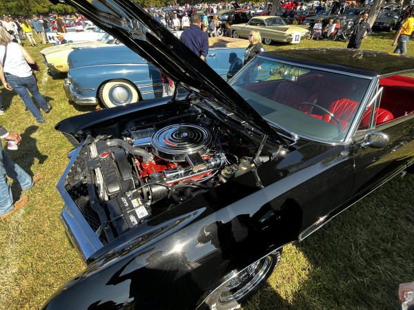 Hot Car - IMG_3688.jpg