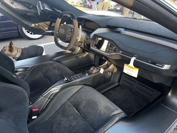 Hot Car - IMG_3634.jpg