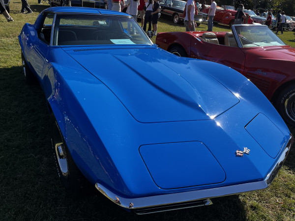 Hot Car - IMG_3655.jpg