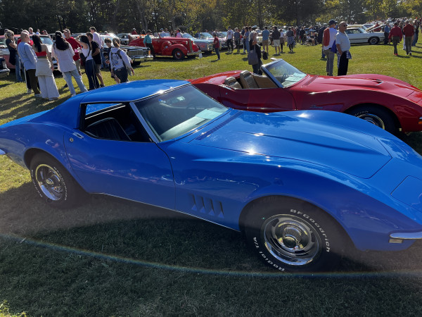 Hot Car - IMG_3656.jpg