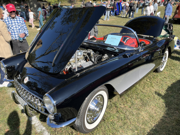 Hot Car - IMG_3732.jpg