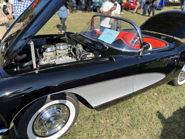 Hot Car - IMG_3733.jpg