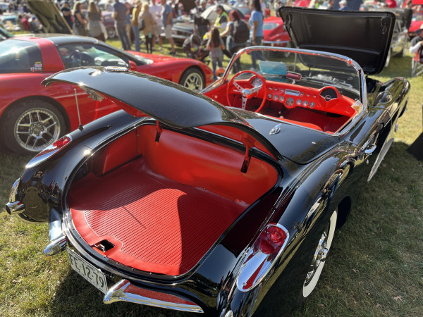 Hot Car - IMG_3738.jpg