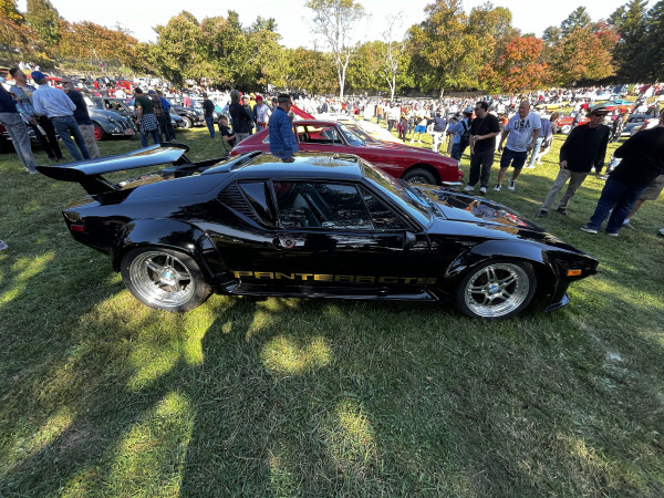 Hot Car - IMG_3643.jpg