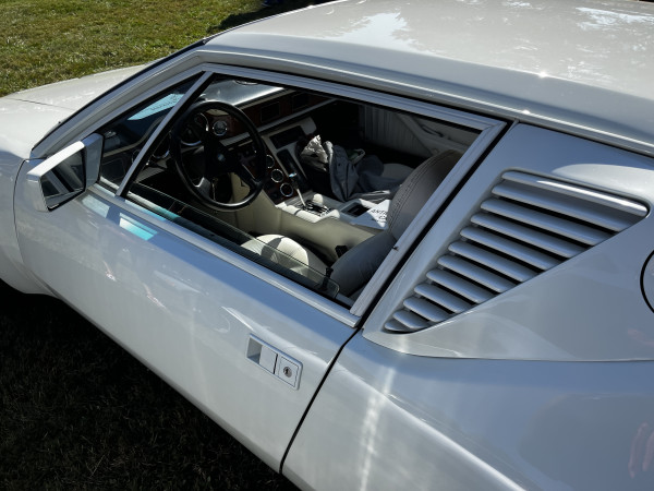 Hot Car - IMG_3652.jpg